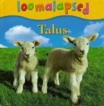 Loomalapsed. Talus
