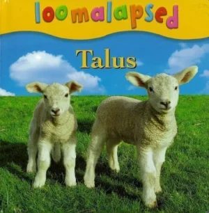 Loomalapsed. Talus